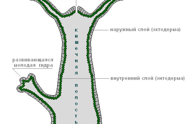 Даркнет каталог