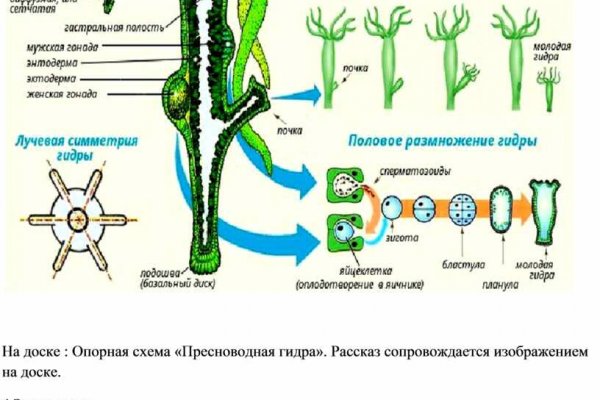 Kraken официальные зеркала